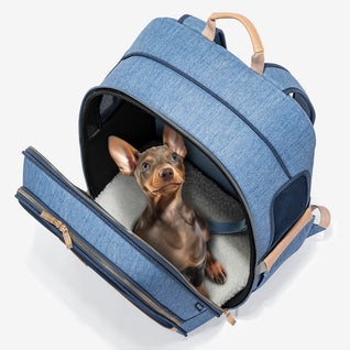 Fetch & Co.™ Tiny Dog Backpack