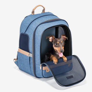 Fetch & Co.™ Tiny Dog Backpack