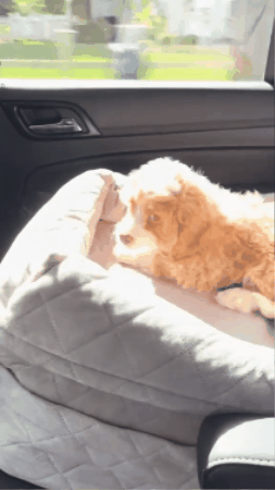 Feature product image